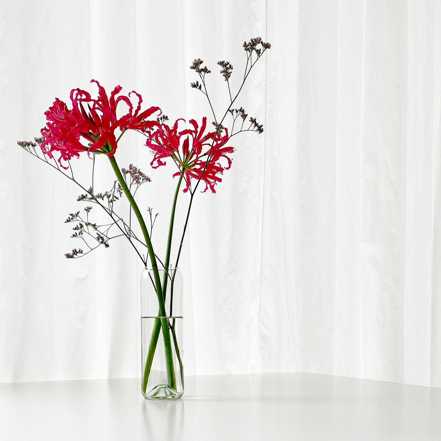 Vase Bloom transparent